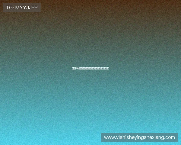 探索PA视讯微博平台的多元内容和用户互动方式分析