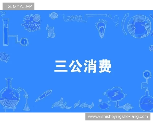 网上三公:网络环境下公务消费的法律法规与政策导向解析 网上三公:网络环境下公务消费的法律法规与政策导向解析