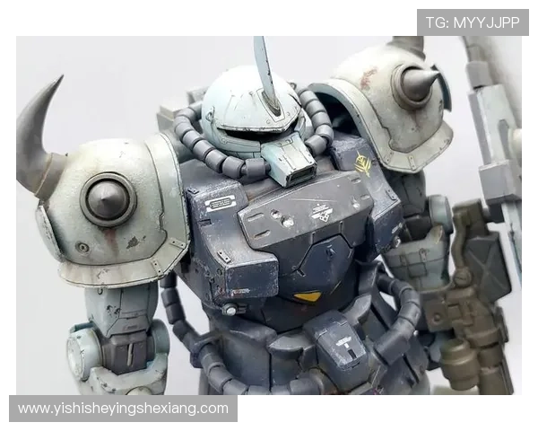 MG老虎特装型的外观设计与定制方案推荐，打造独一无二的战斗机