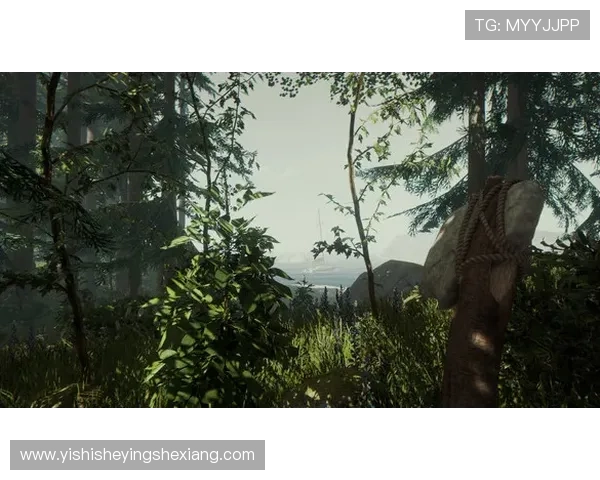 凯发旗舰网站官网首页为新手玩家提供详细的注册流程与操作指南