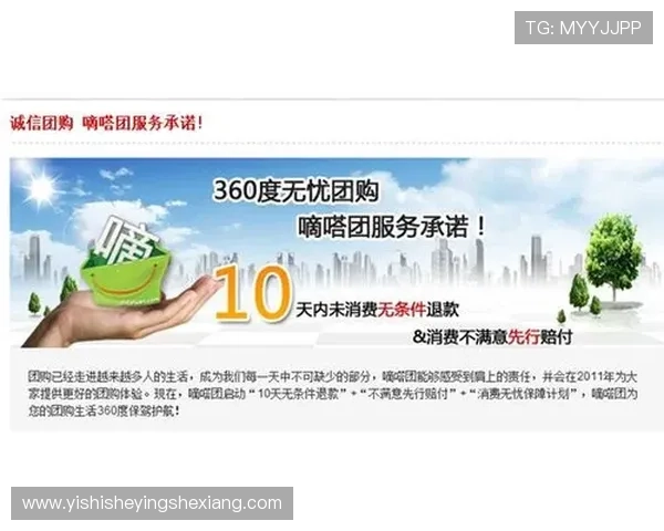 DG视讯中国区官方技术支持与客户服务体系全面升级方案